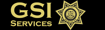 GSI-Services-logo-header.png